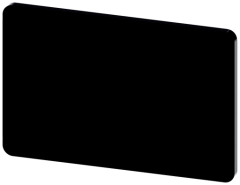 INSCR. PLATE, BLACK 17.5 X 27MM, BLANK